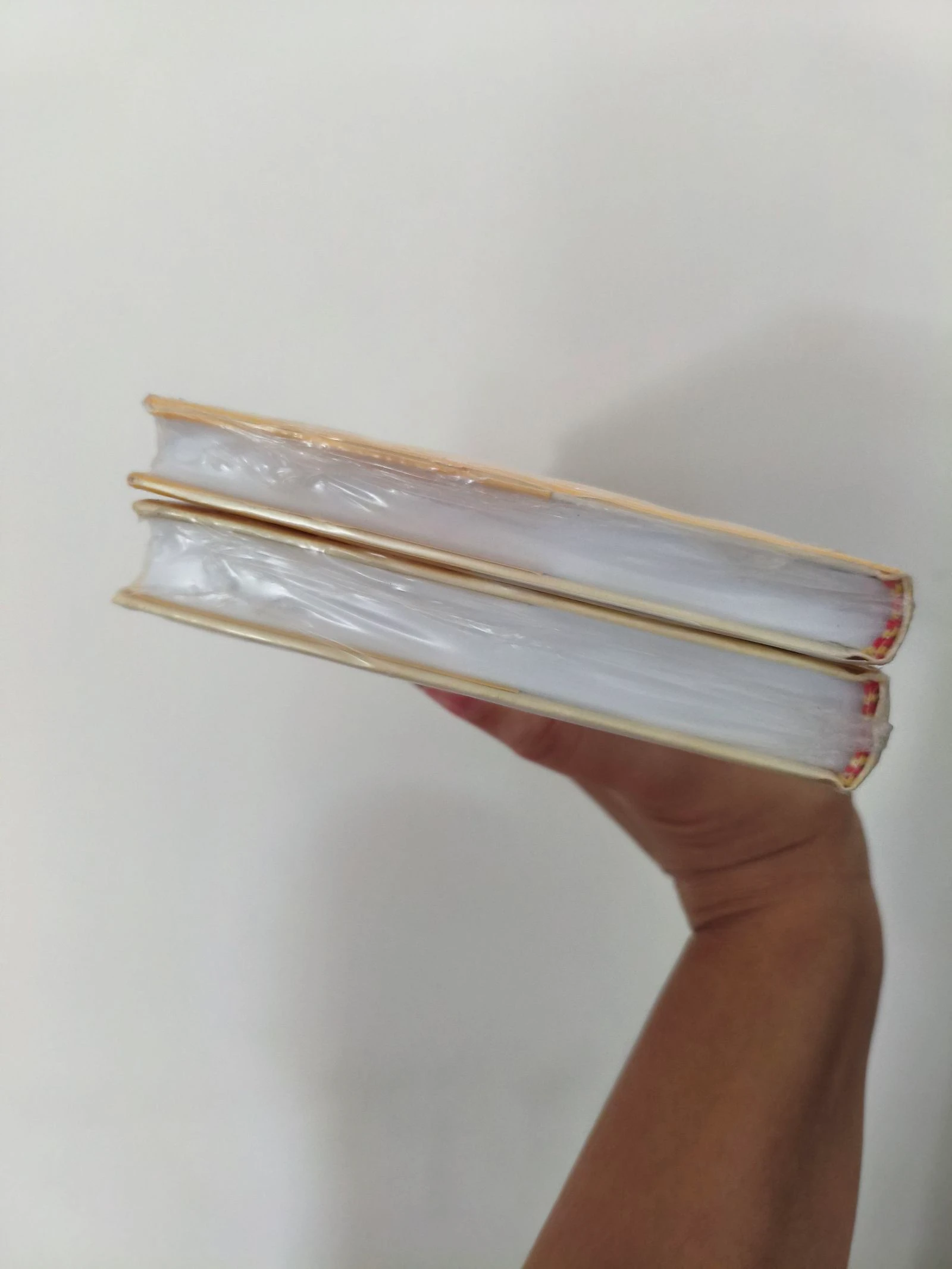 Batch of 2 books Fernando Dates – photo 2